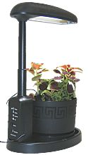 intelligent plant light