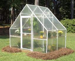 8565 Little Greenhouse